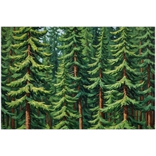 Traditional Jigsaw Puzzles