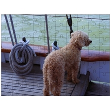 Traditional Jigsaw Puzzles