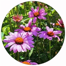 Round Puzzles