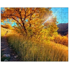 Jigsaw Puzzles 10