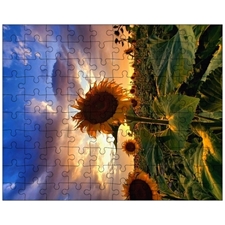 Jigsaw Puzzles 10