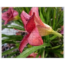 Wooden Puzzles