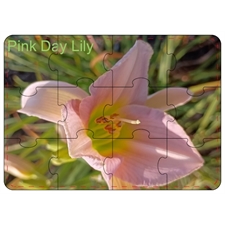 Wooden Puzzles