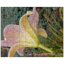 Wooden Puzzles