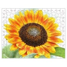 Mini Puzzle