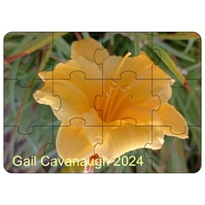 Wooden Puzzles