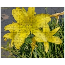 Wooden Puzzles