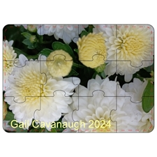 Wooden Puzzles