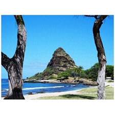 Traditional Jigsaw Puzzles