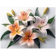 Traditional Jigsaw Puzzles