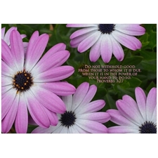 Traditional Jigsaw Puzzles