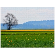 Traditional Jigsaw Puzzles