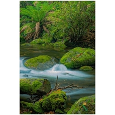 Traditional Jigsaw Puzzles
