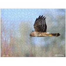 Traditional Jigsaw Puzzles