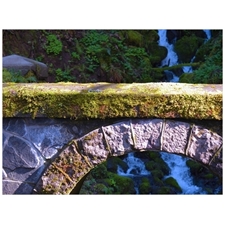 Traditional Jigsaw Puzzles
