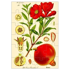 Invitation Puzzles