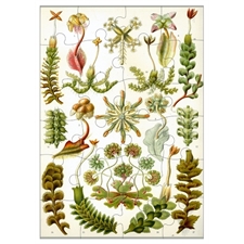Invitation Puzzles
