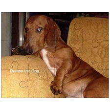Jigsaw Puzzles 10