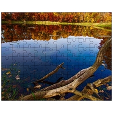 Jigsaw Puzzles 10