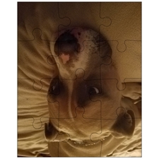 Jigsaw Puzzles 10