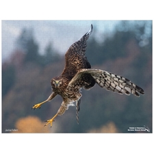 Traditional Jigsaw Puzzles