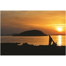 Traditional Jigsaw Puzzles