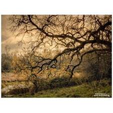 Traditional Jigsaw Puzzles