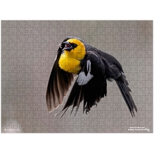 Traditional Jigsaw Puzzles