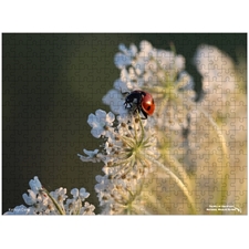 Traditional Jigsaw Puzzles