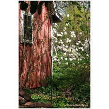 Traditional Jigsaw Puzzles