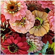 Traditional Jigsaw Puzzles