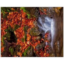 Jigsaw Puzzles 10