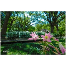 Traditional Jigsaw Puzzles