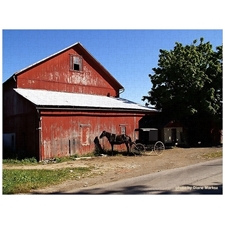 Traditional Jigsaw Puzzles
