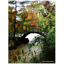 Traditional Jigsaw Puzzles
