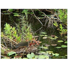Traditional Jigsaw Puzzles