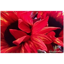 Traditional Jigsaw Puzzles
