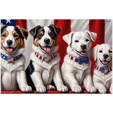 Traditional Jigsaw Puzzles