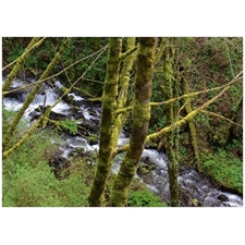 Traditional Jigsaw Puzzles