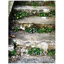 Traditional Jigsaw Puzzles