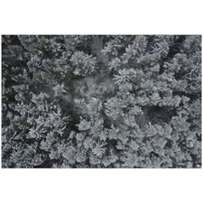 Traditional Jigsaw Puzzles