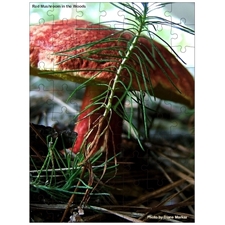 Traditional Jigsaw Puzzles