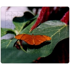 Tray Puzzles