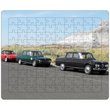 Tray Puzzles