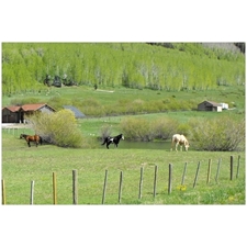 Traditional Jigsaw Puzzles