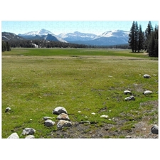 Traditional Jigsaw Puzzles