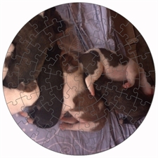 Round Puzzles