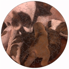 Round Puzzles