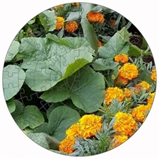 Round Puzzles
