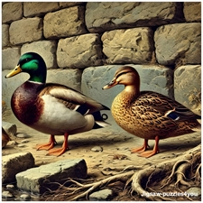 Traditional Jigsaw Puzzles